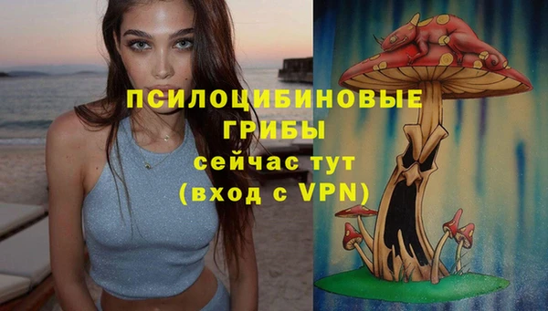 метамфетамин Заводоуковск