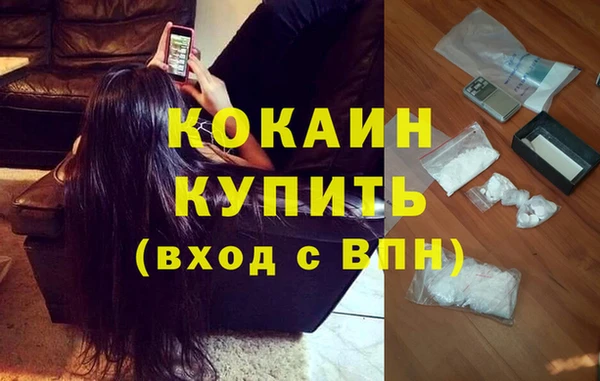 гидра Зеленодольск
