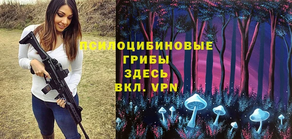 дживик Зеленокумск
