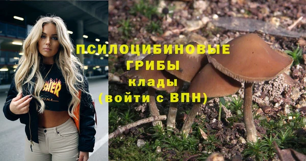 метамфетамин Заводоуковск