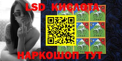 шишки Краснознаменск