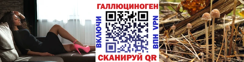 mega зеркало  Сланцы  Галлюциногенные грибы прущие грибы 