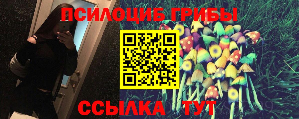 что такое   Псилоцибиновые грибы мухоморы  Вход с VPN  Сланцы 