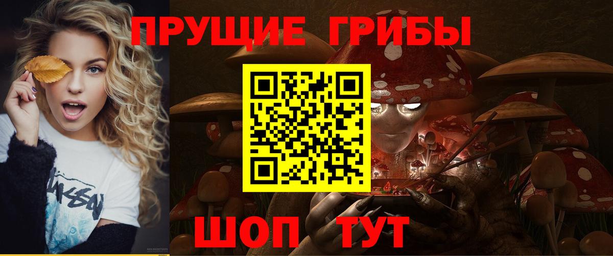 Псилоцибиновые грибы Magic Shrooms Сланцы
