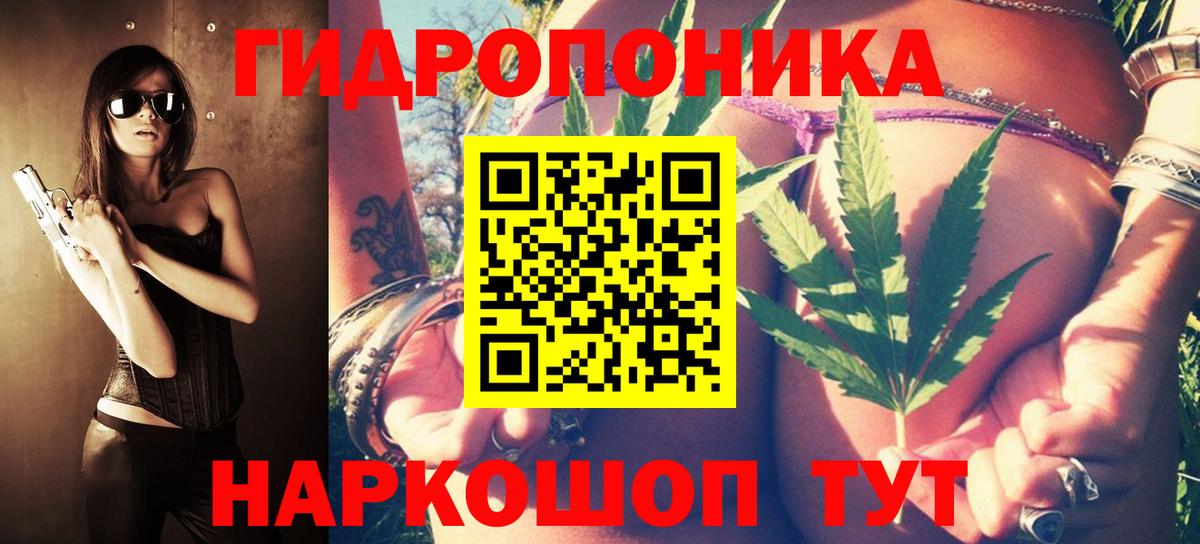 Шишки марихуана Ganja Сланцы